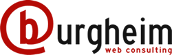 Professionelles Online Marketing aus Kassel - burgheim web consulting